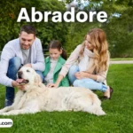 abradore