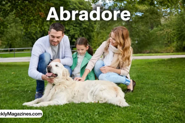 abradore