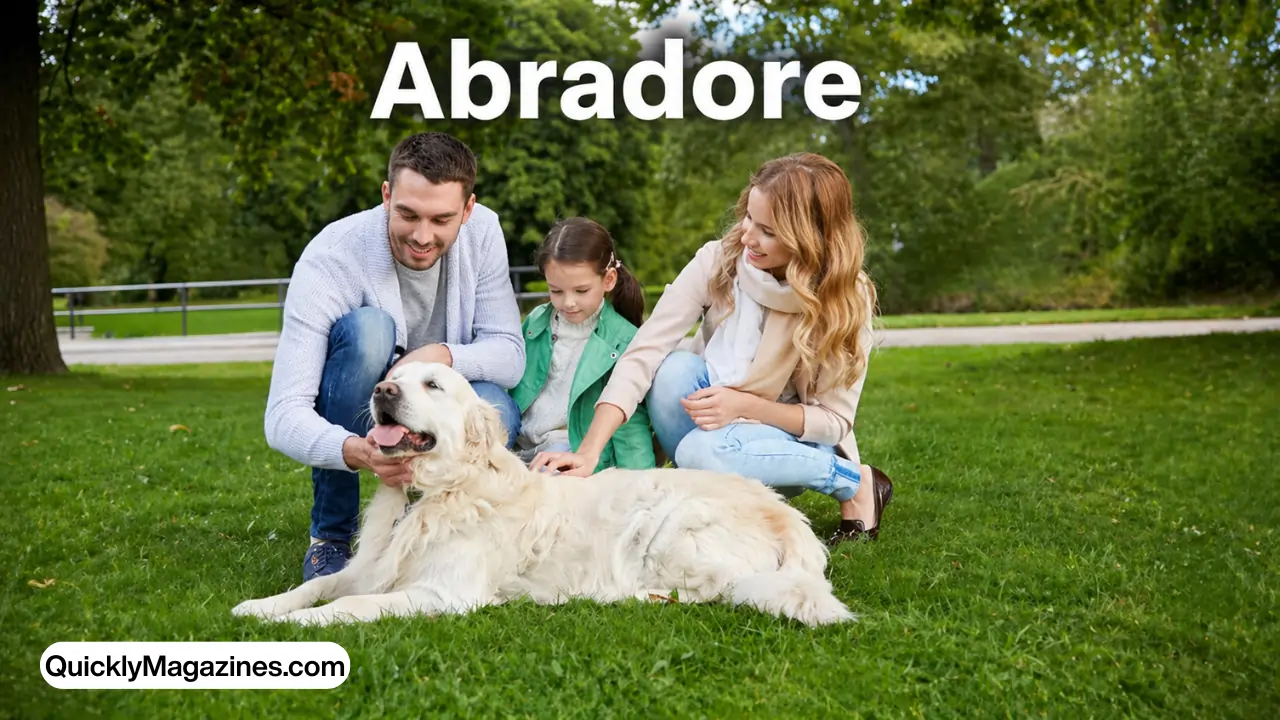 abradore