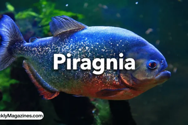 piragnia
