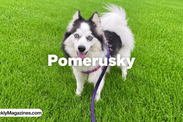 pomerusky