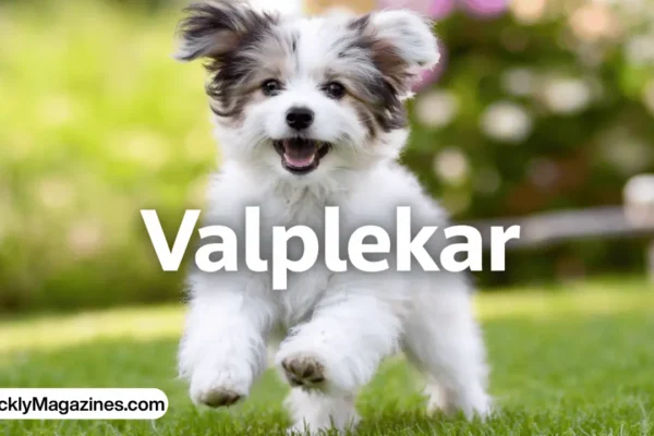 valplekar