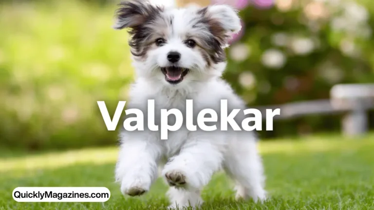valplekar